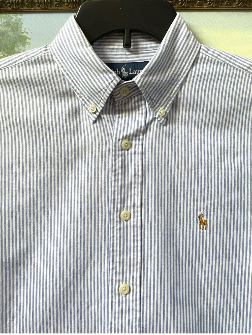 Ralph Lauren Blue University
Stripe Oxford Long Sleeve Shirt Women's Size 2 - Picture 5 of 12